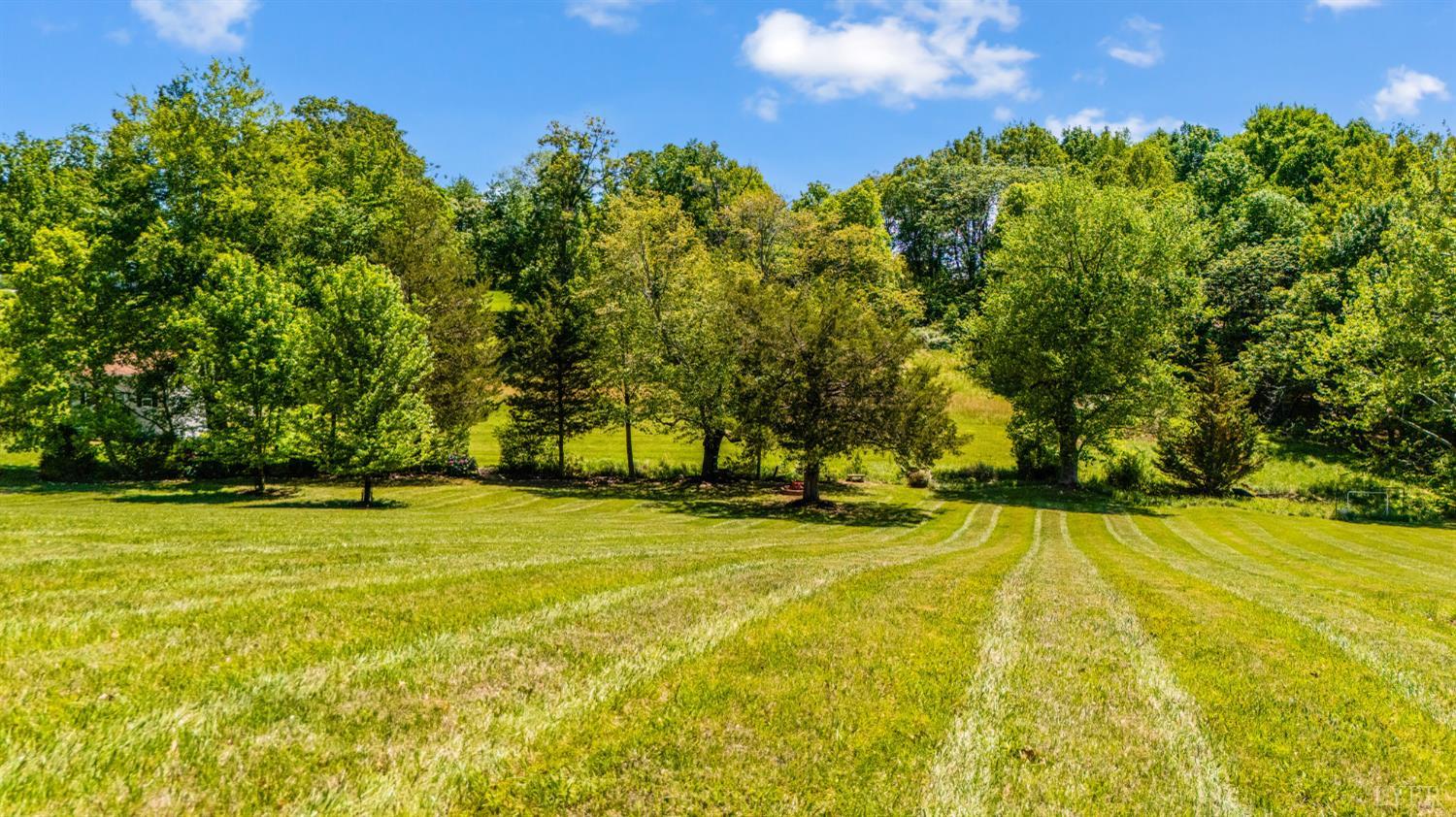1094 Donnally Road Forest, VA 24551 - Photo 58 of 68