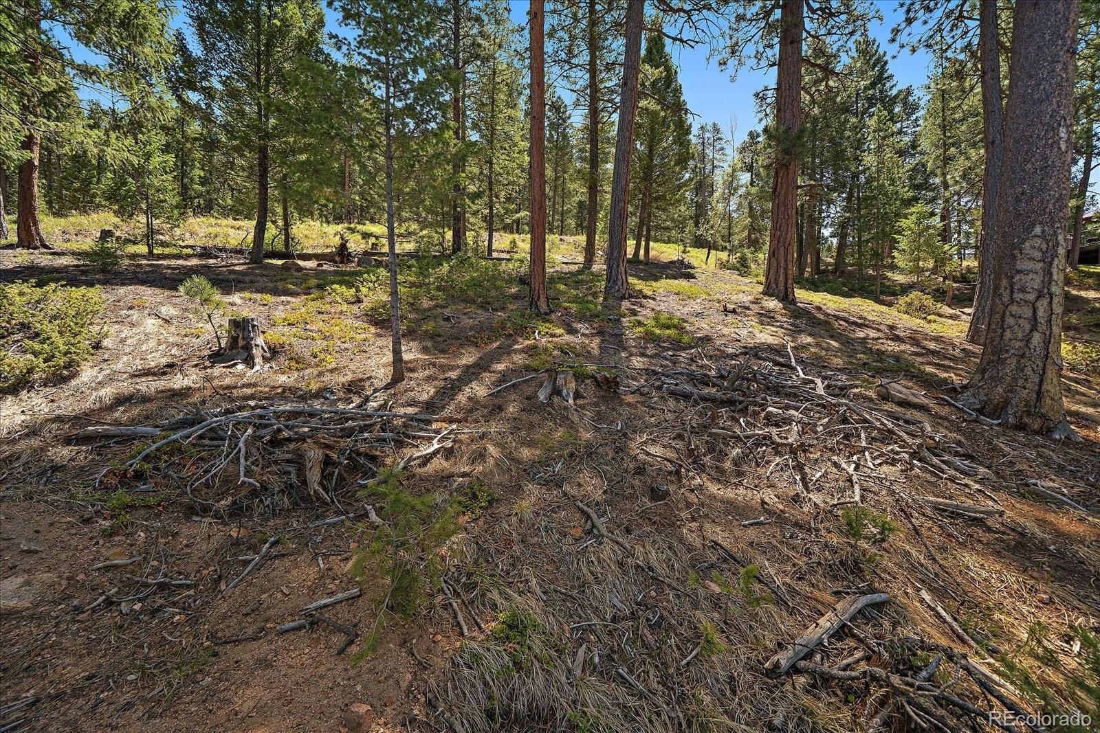6875 Lynx Lair Road Evergreen, CO 80439 - Photo 12 of 21