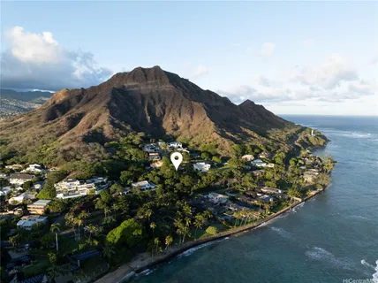 a view of a large tree with a yard