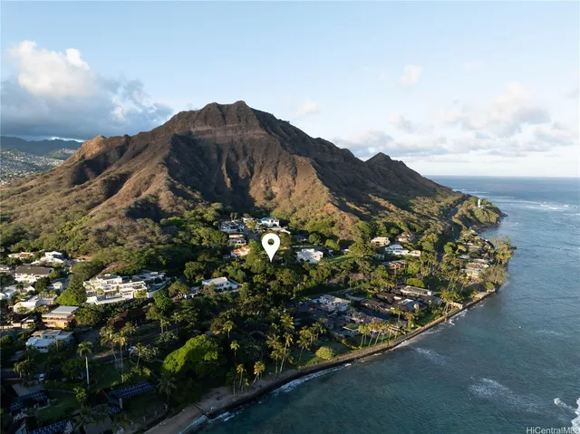 a view of a large tree with a yard