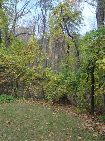 65 Shepard Road Sturbridge, MA 01566 - Photo 20 of 25 Gallery Image 20