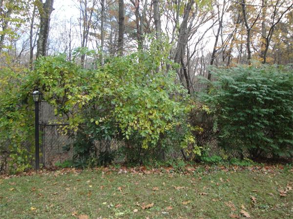 65 Shepard Road Sturbridge, MA 01566 - Photo 21 of 25 Gallery Image 21