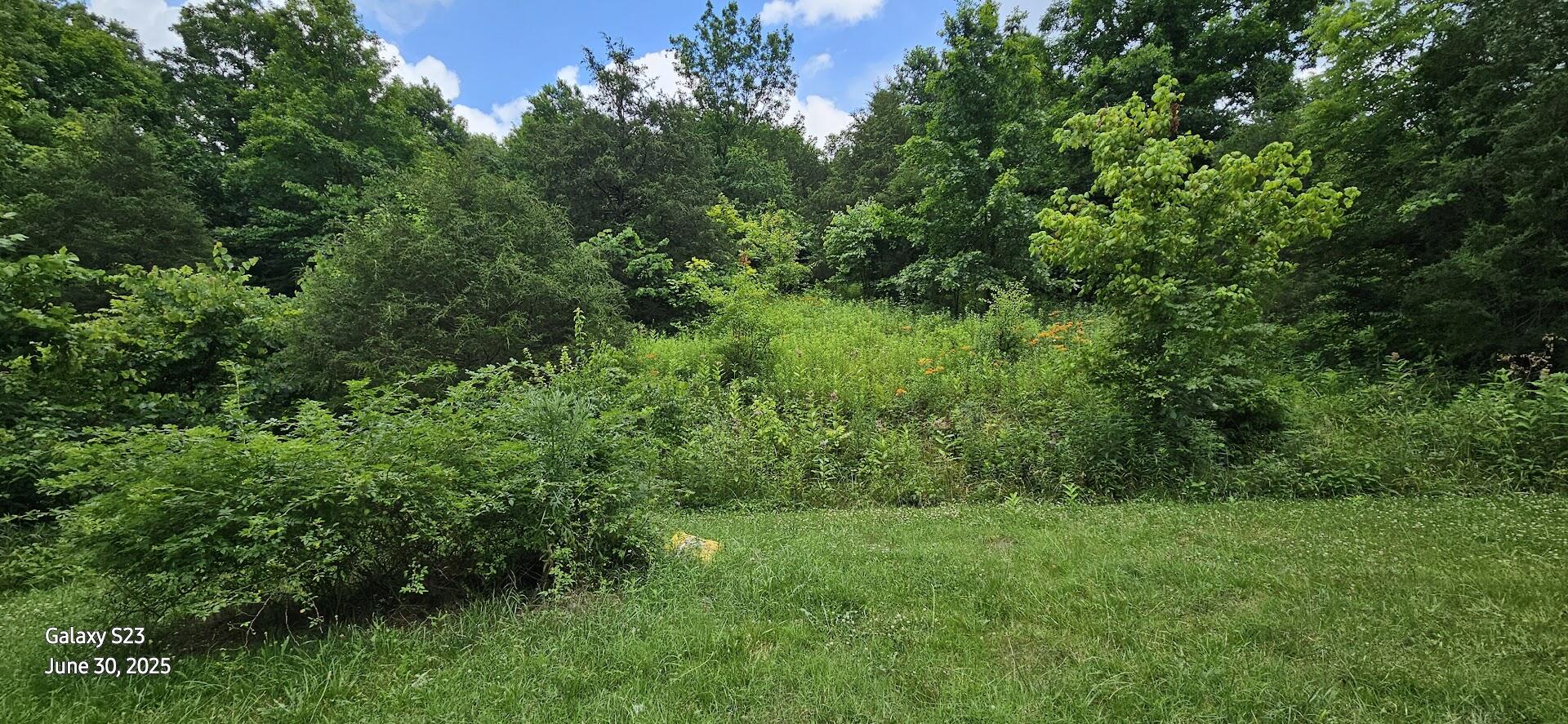 886 Morris Road Sadieville, KY 40370 - Photo 9 of 27 20250630_152812