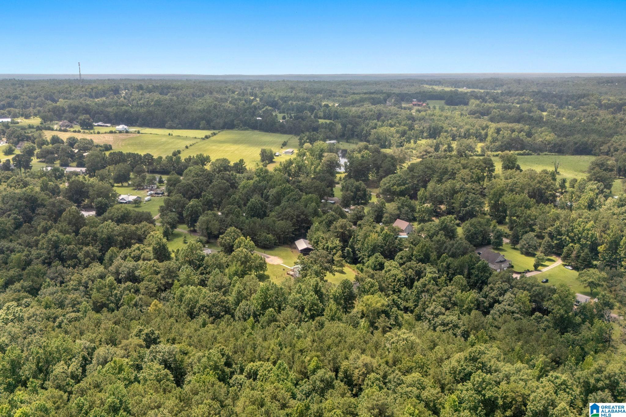 265 Payne Road Empire, AL 35063 - Photo 33 of 33