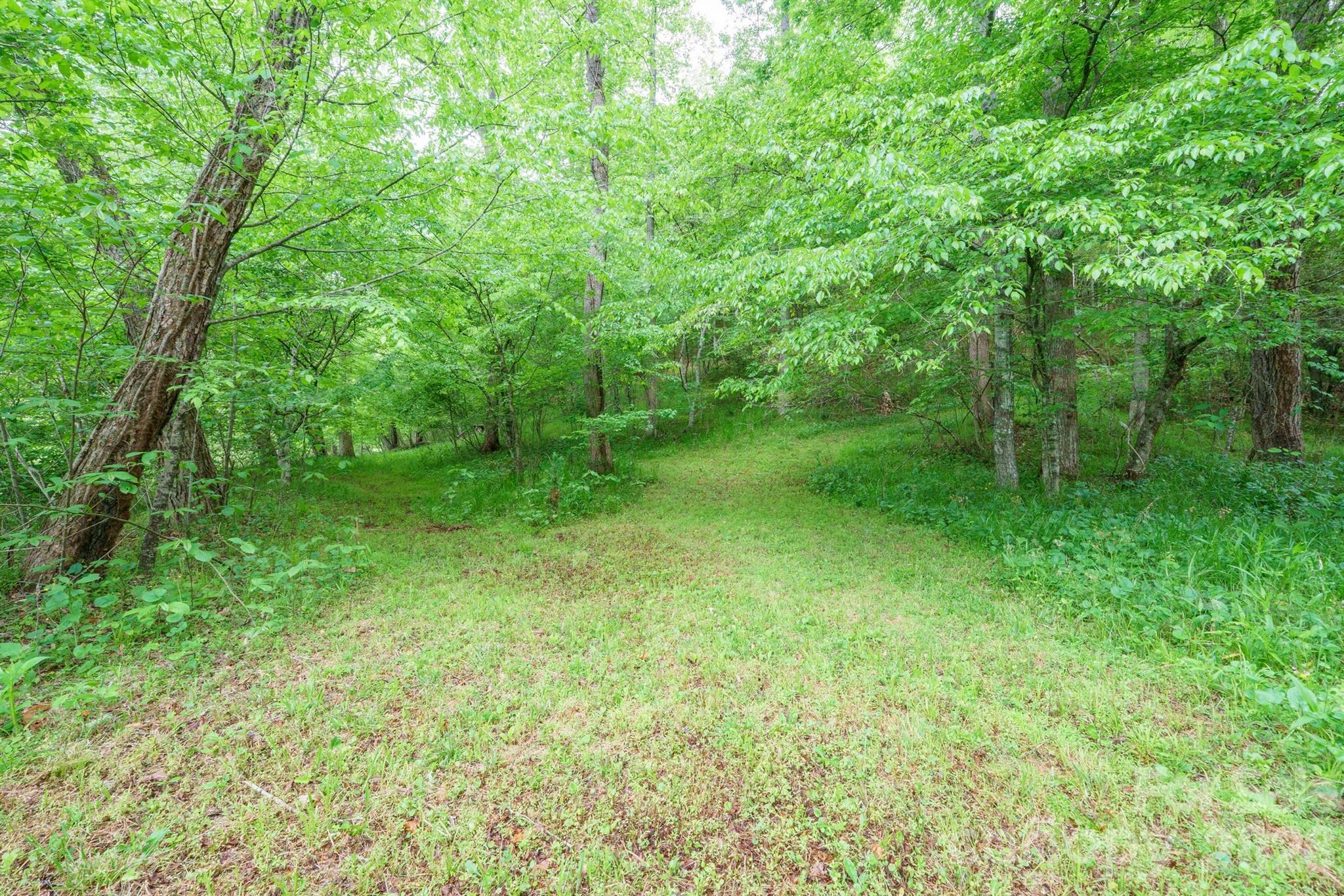 2517 Horseshoe Road Westfield, NC 27053 - Photo 39 of 45