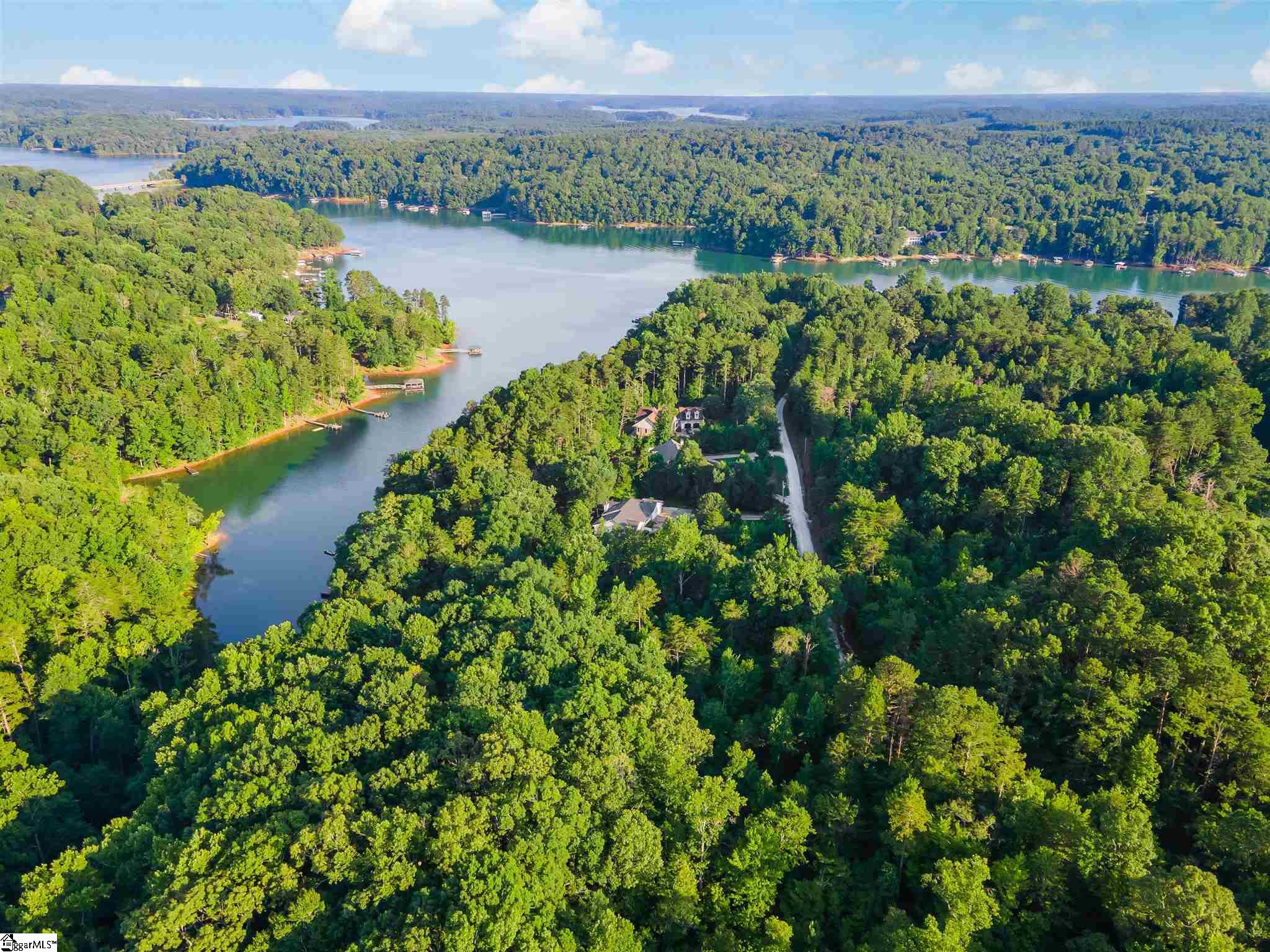 0 Riley Road, Unit LOT 29 Seneca, SC 29678 - Photo 11 of 16