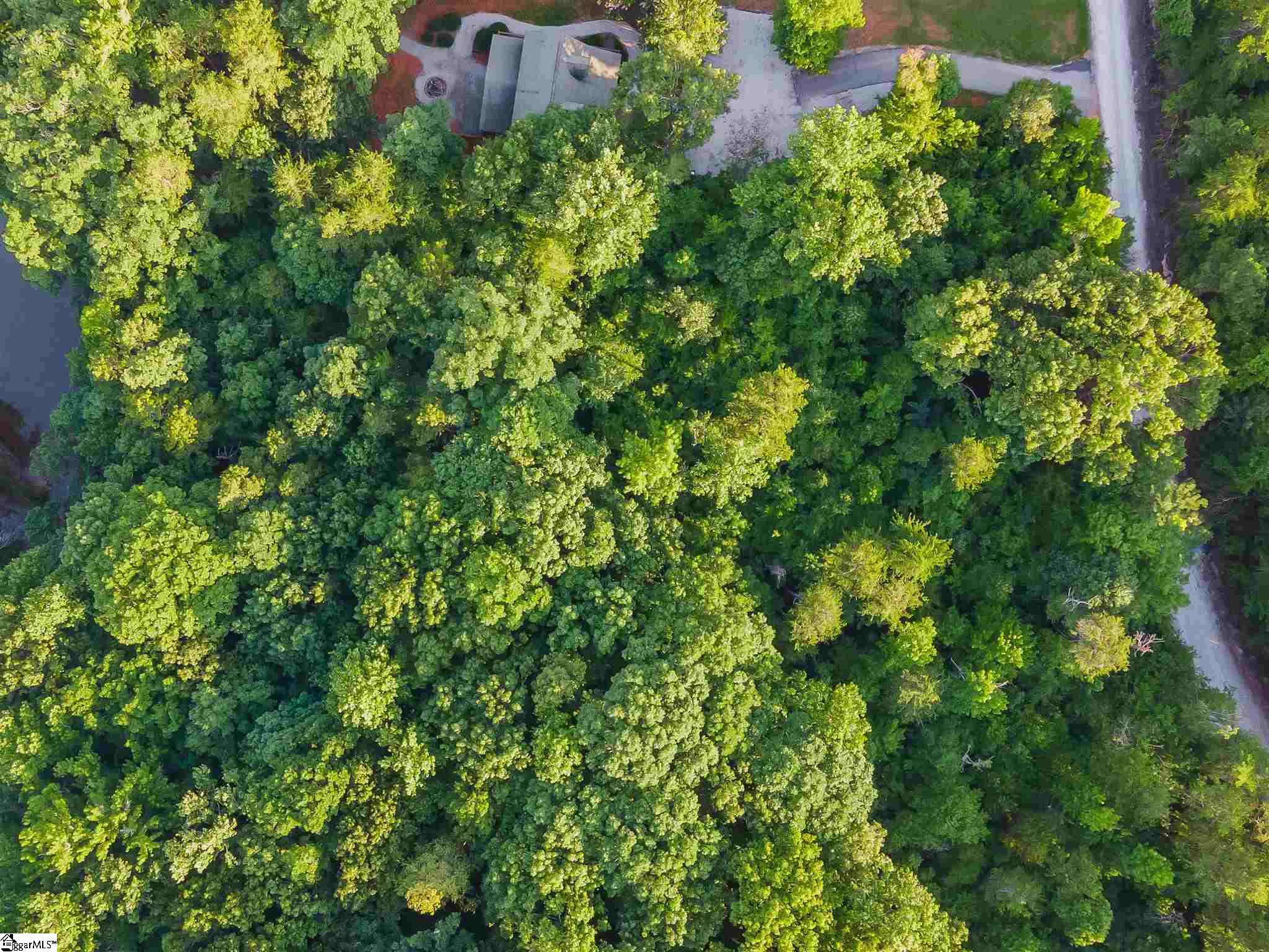 0 Riley Road, Unit LOT 29 Seneca, SC 29678 - Photo 12 of 16