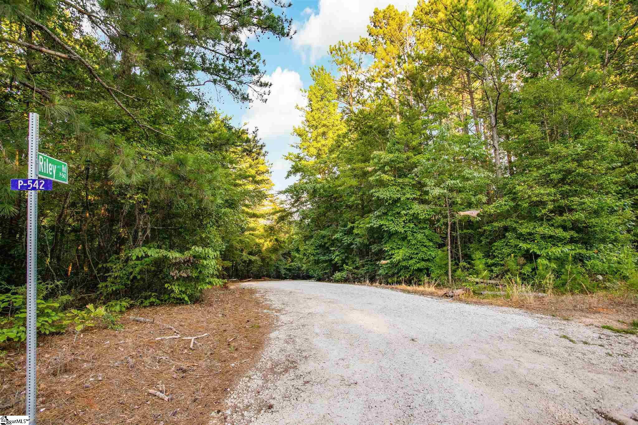 0 Riley Road, Unit LOT 29 Seneca, SC 29678 - Photo 4 of 16