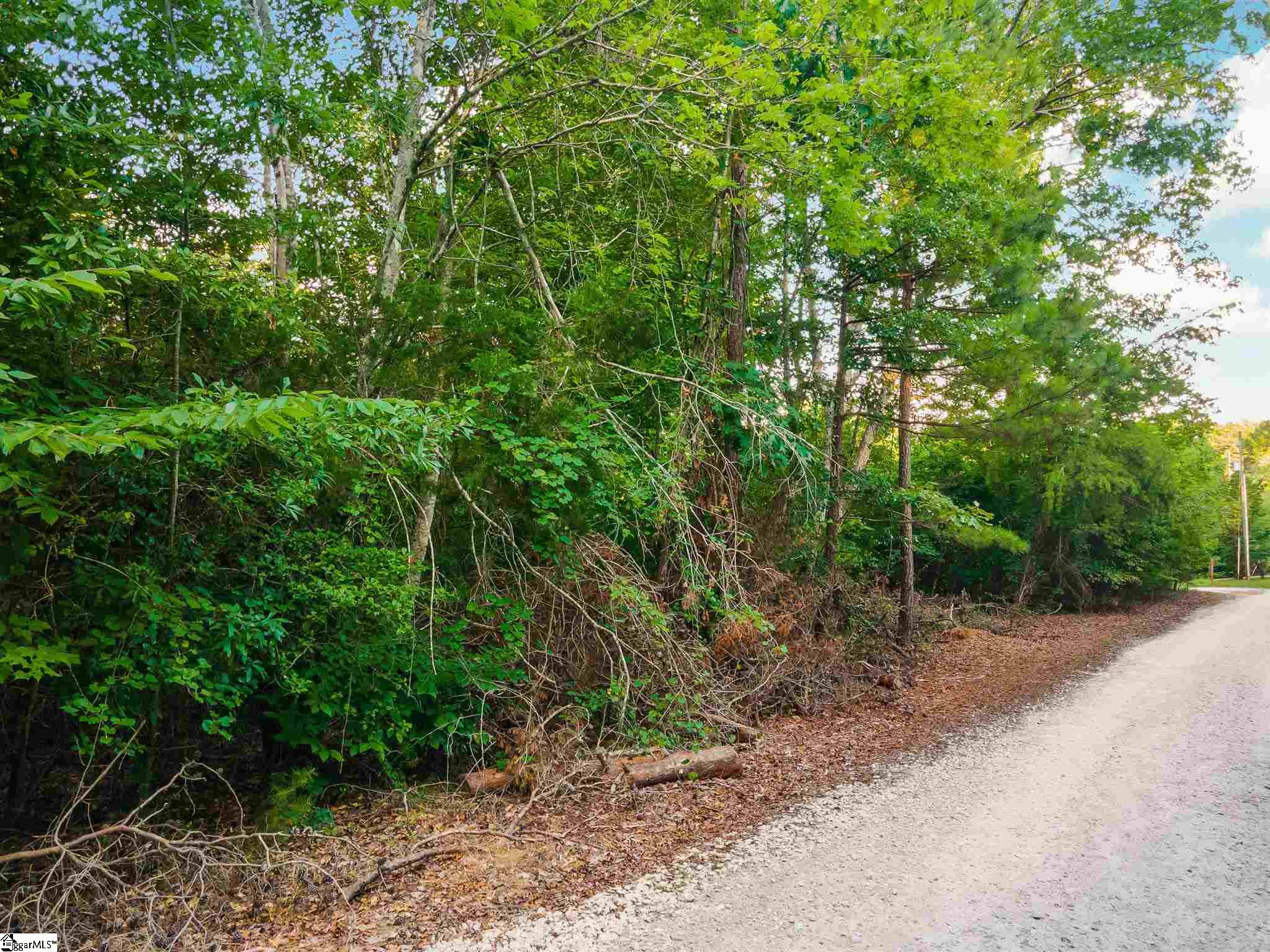 0 Riley Road, Unit LOT 29 Seneca, SC 29678 - Photo 5 of 16