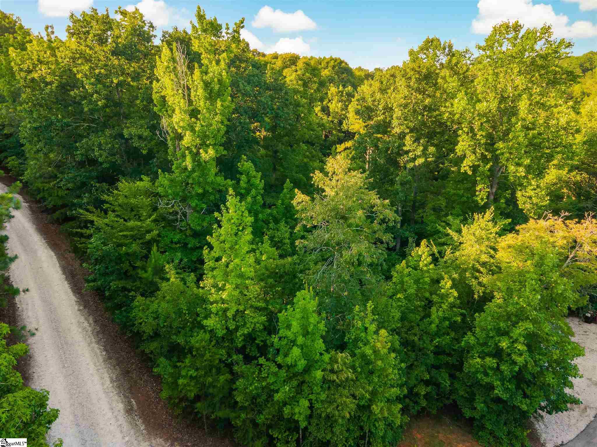 0 Riley Road, Unit LOT 29 Seneca, SC 29678 - Photo 8 of 16