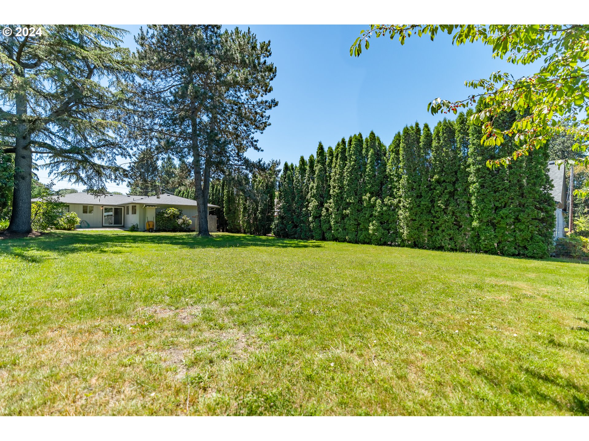 8015 Southwest Mapleleaf Street Portland, OR 97223 - Photo 33 of 35 a view of a yard with a tree