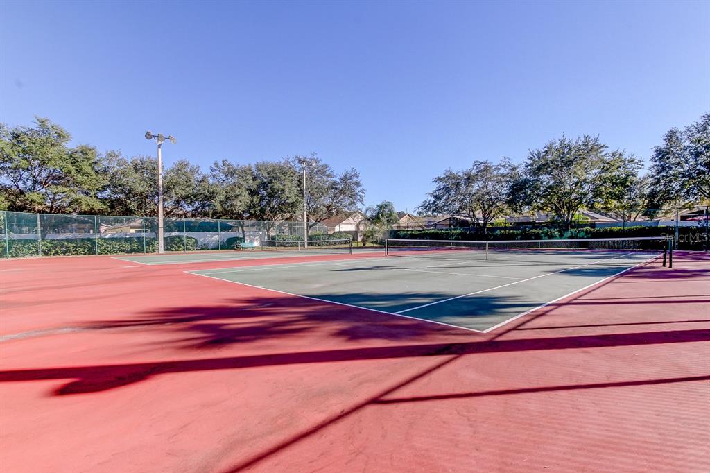 8535 Heyward Road Tampa, FL 33635 - Photo 36 of 44 Gallery Image 36