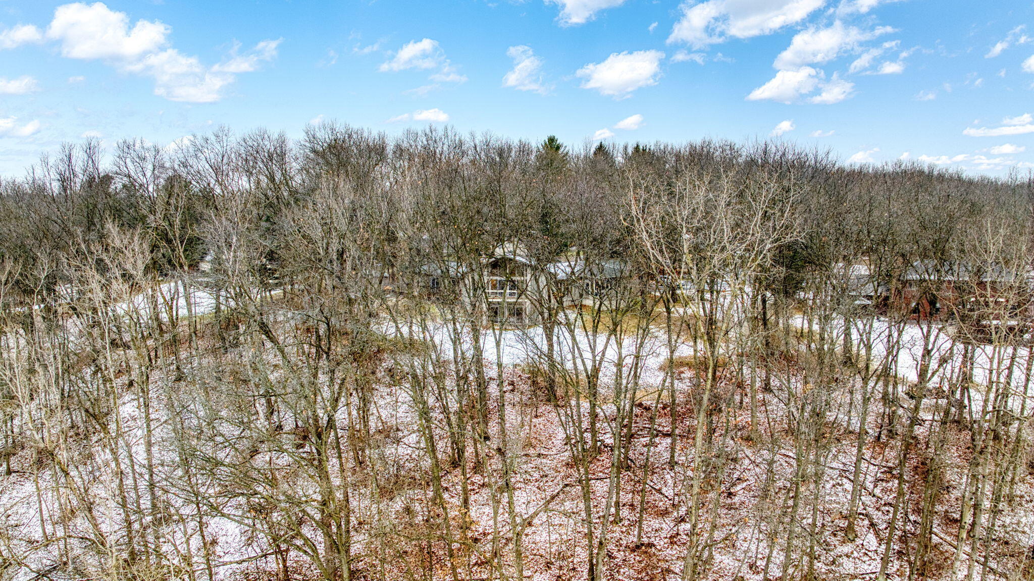 644 Grat Strasse Road Manchester, MI 48158 - Photo 54 of 70 55-web-or-mls-DJI_0354_HDR