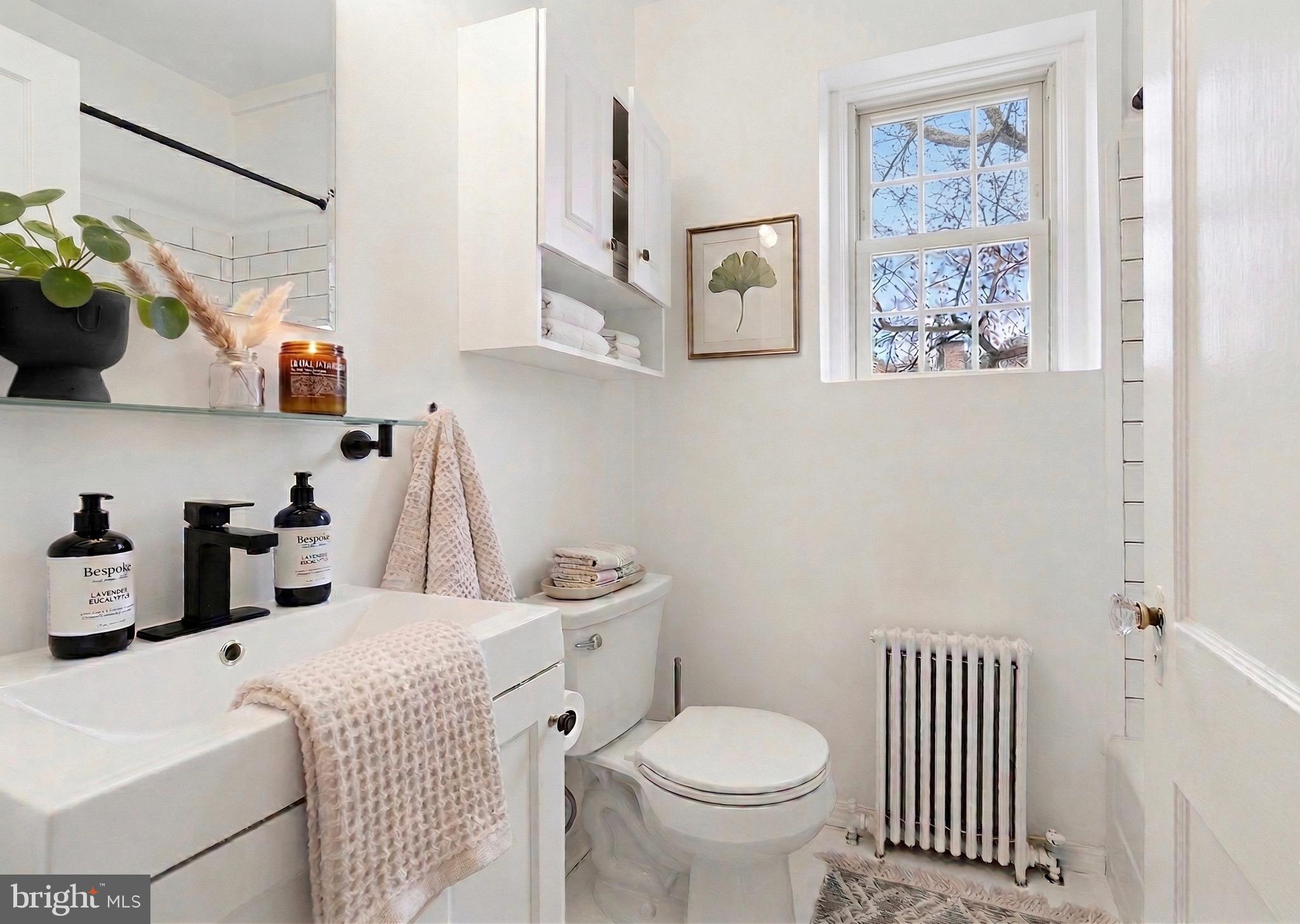 3925 Davis Place Northwest, Unit 206 Washington, DC 20007 - Photo 4 of 26 a bathroom with a sink toilet and mirror
