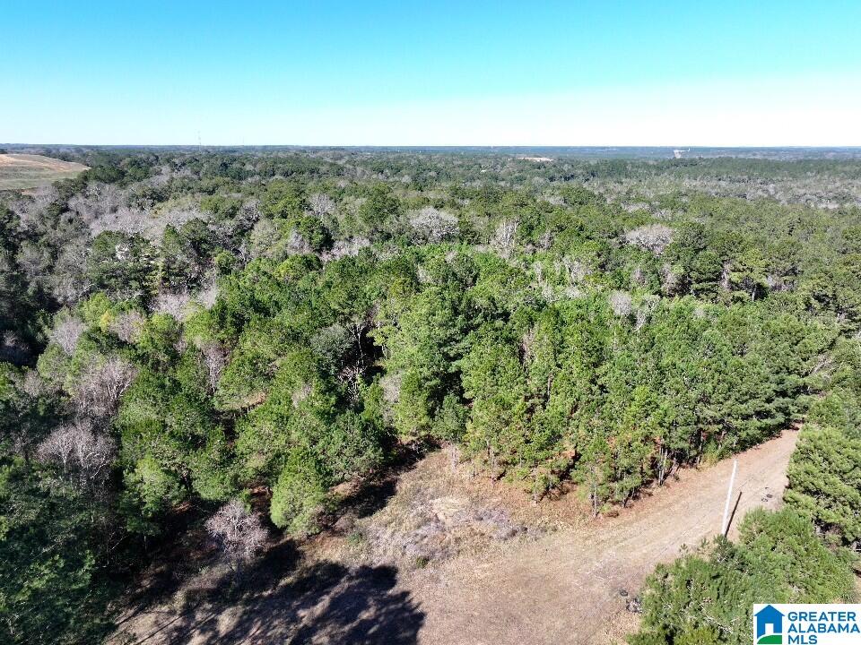 0 North University Boulevard Mobile, AL 36613 - Photo 8 of 11