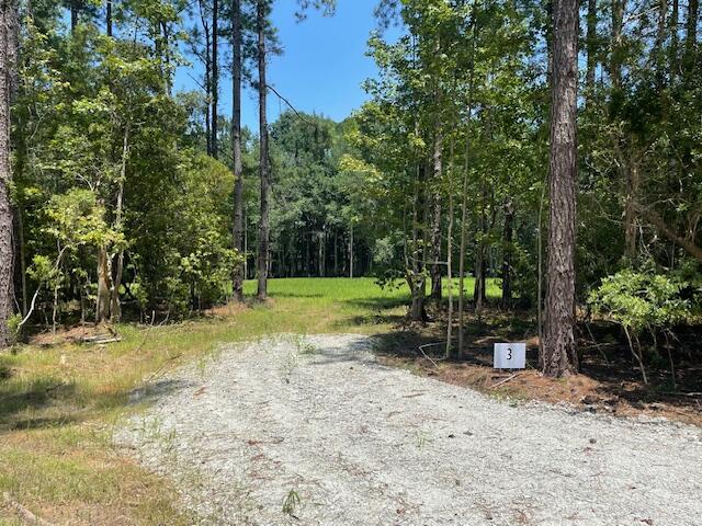 648 Bc Estates Lane Cross, SC 29436 - Photo 2 of 6 IMG_7737