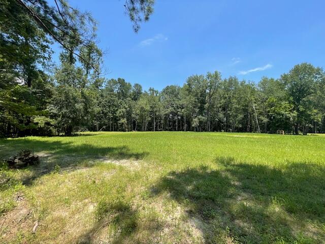 648 Bc Estates Lane Cross, SC 29436 - Photo 3 of 6 IMG_7739