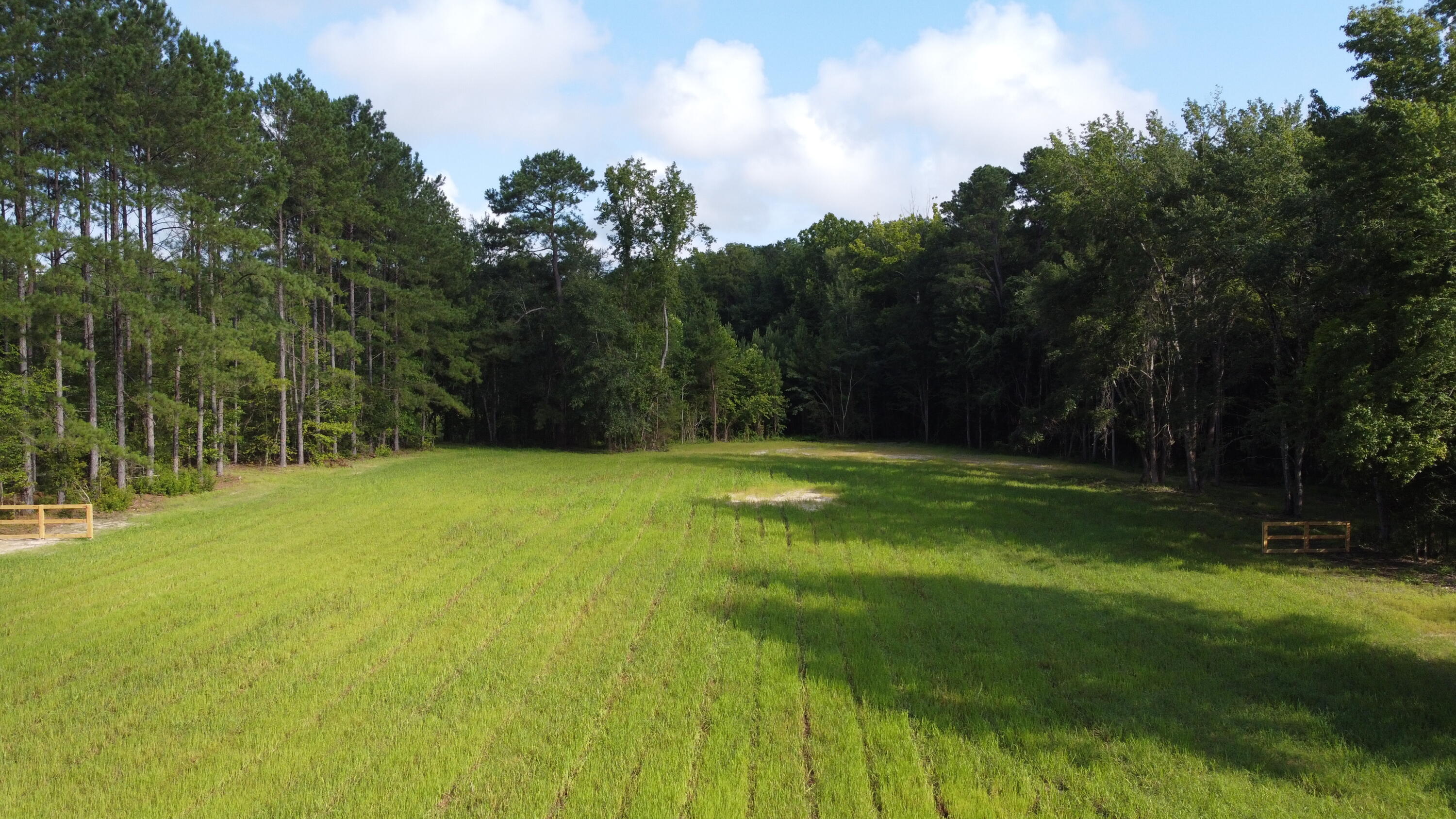 648 Bc Estates Lane Cross, SC 29436 - Photo 6 of 6 DJI_0114