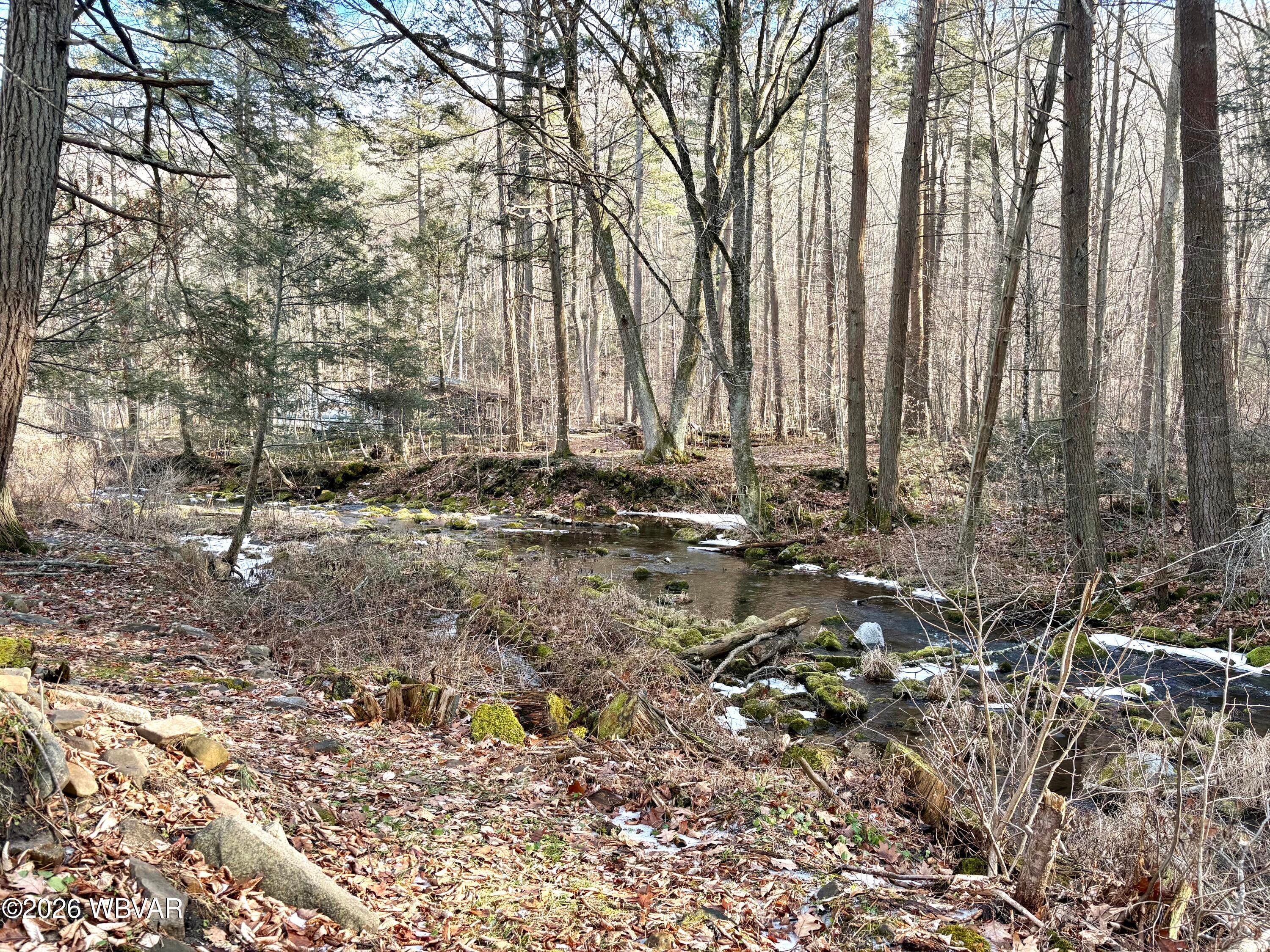 2598 Rauchtown Road Jersey Shore, PA 17740 - Photo 59 of 63 Backyard