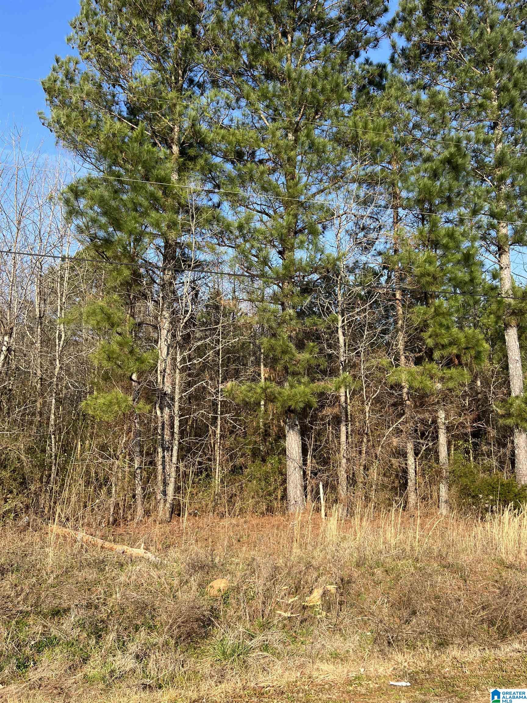 1075 Earl Roberts Road, Unit 1075 Anniston, AL 36207 - Photo 3 of 4