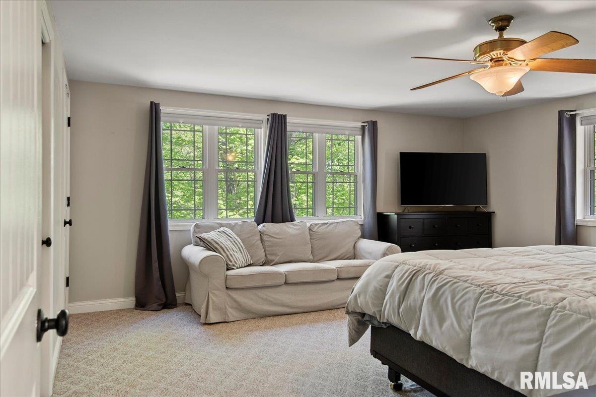 5188 Rock Road Pleasant Plains, IL 62677 - Photo 22 of 43 Gallery Image 22