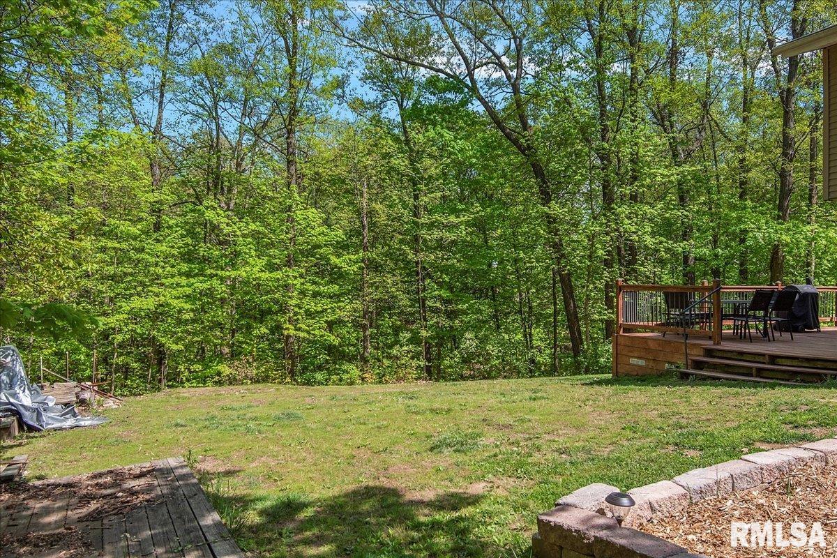 5188 Rock Road Pleasant Plains, IL 62677 - Photo 33 of 43 Gallery Image 33