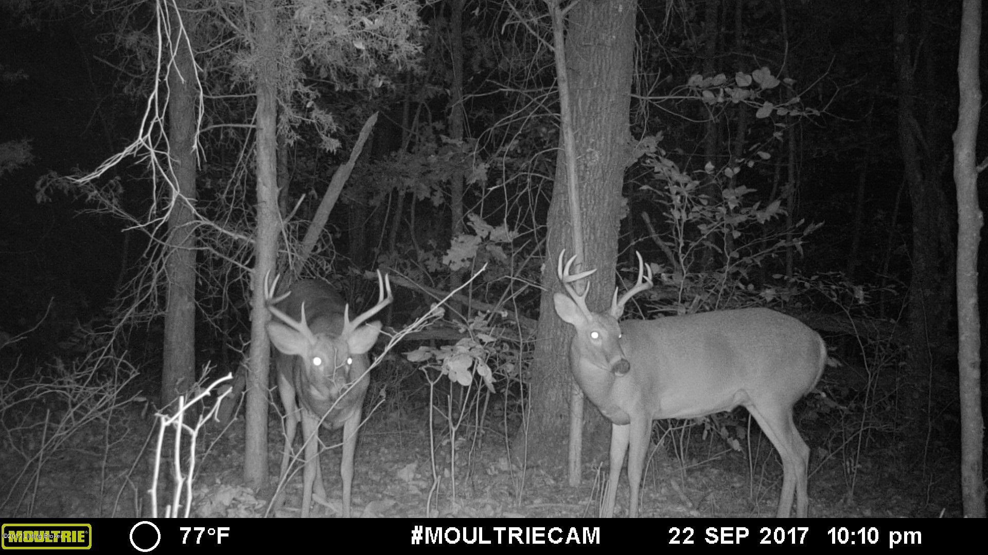 3 Sal Ashley Road Bee Spring, KY 42207 - Photo 17 of 21 MFDC8311