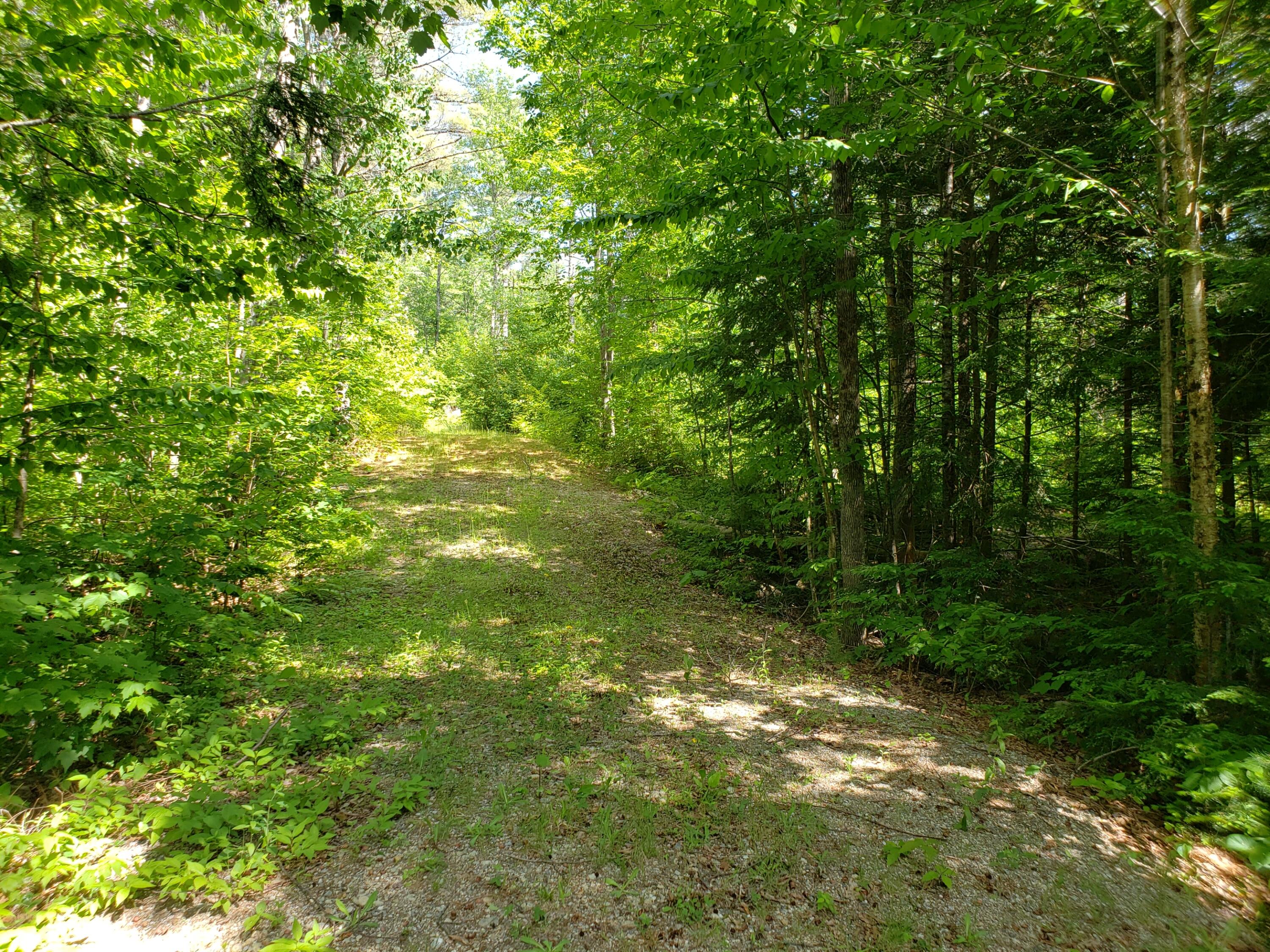 0 Valley Road Waterford, ME 04088 - Photo 8 of 13 tote road