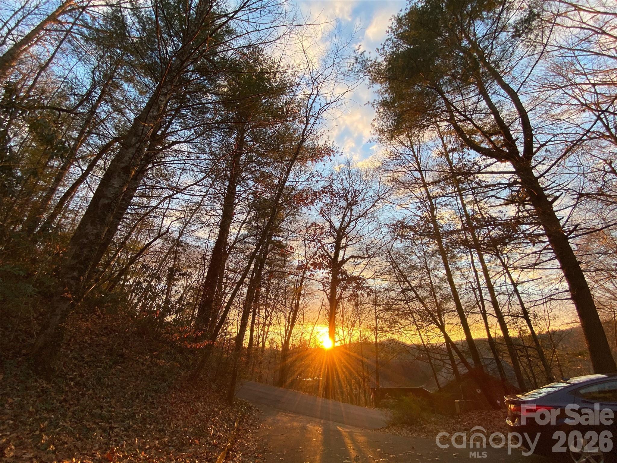 239 Three Mile Knob Road Pisgah Forest, NC 28768 - Photo 7 of 48