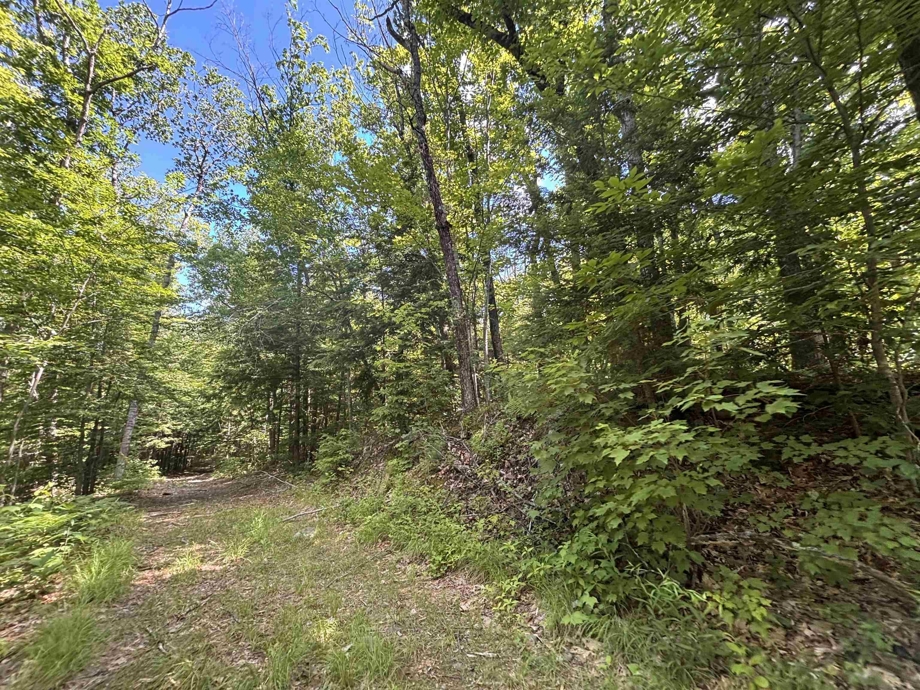 0 Windfall Road Northfield, NH 03276 - Photo 7 of 10