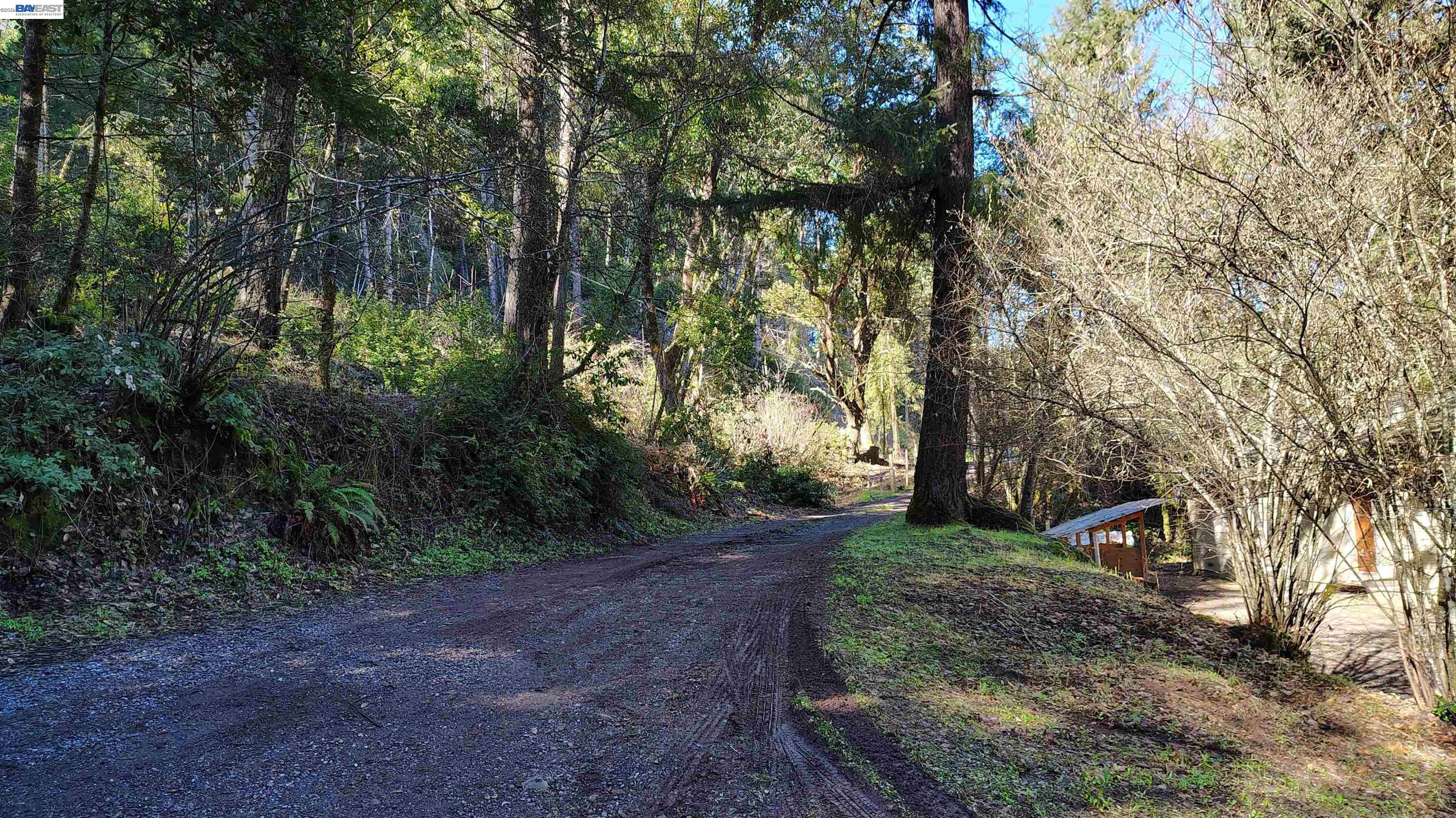 28440 Ryan Creek Road Willits, CA 95490 - Photo 20 of 22 a view of a park with large trees