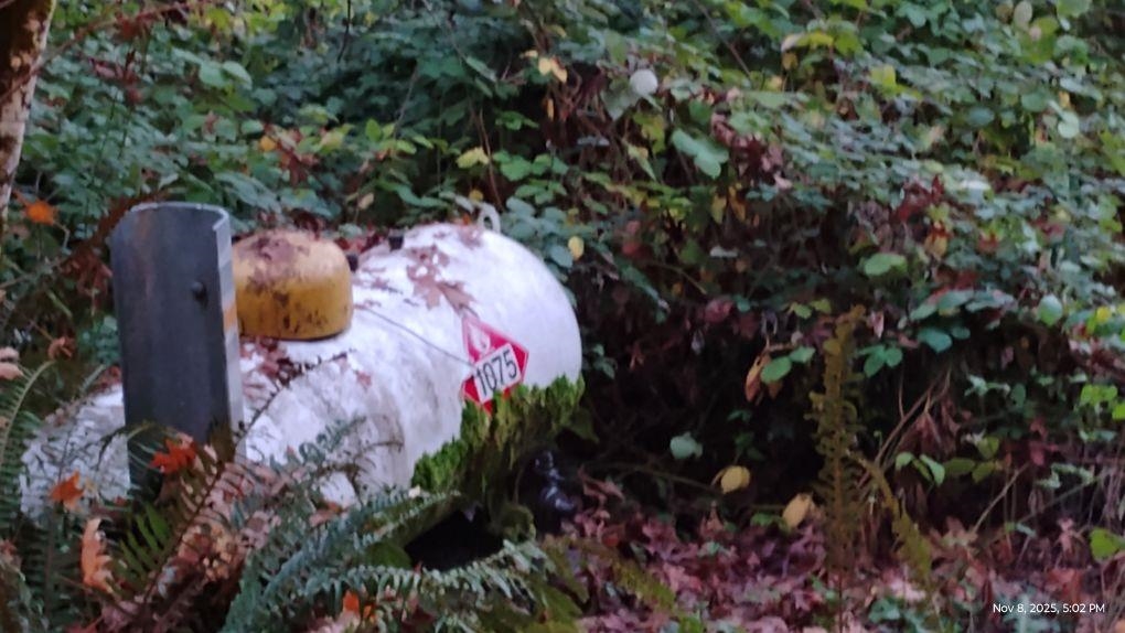 28440 Ryan Creek Road Willits, CA 95490 - Photo 20 of 22