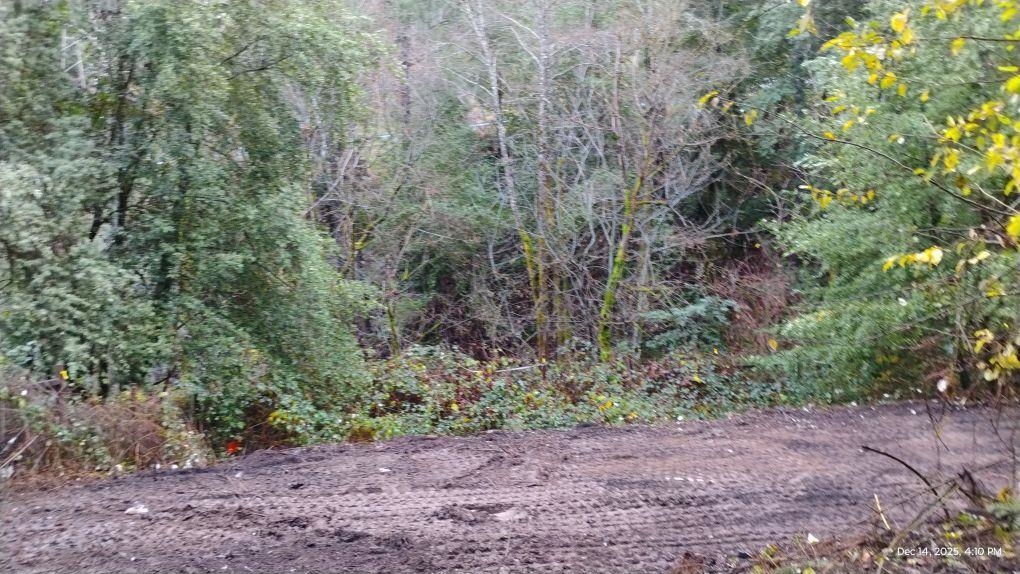 28440 Ryan Creek Road Willits, CA 95490 - Photo 21 of 22