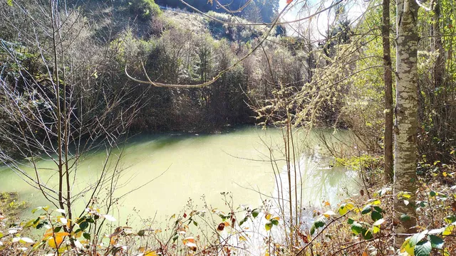 $339,900 | 28440 Ryan Creek Road, Willits, CA 95490