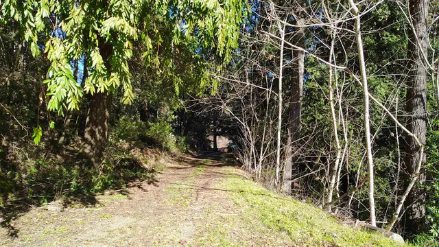 $339,900 | 28440 Ryan Creek Road, Willits, CA 95490