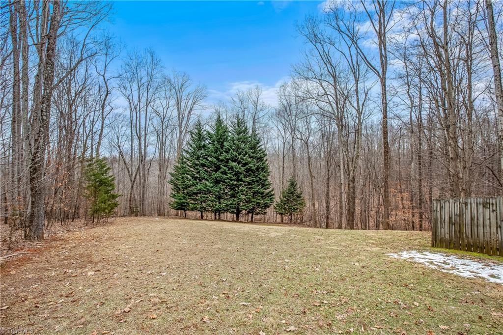 1122 Luna Trail Road Sandy Ridge, NC 27046 - Photo 47 of 50