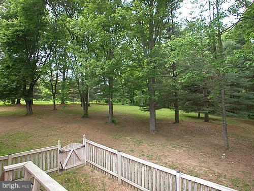 1902 Moore Road Forest Hill, MD 21050 - Photo 10 of 27 a view of a yard with a tree