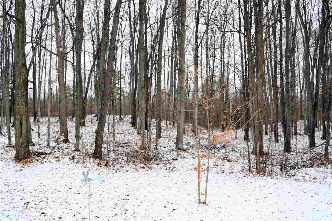 1708 Hammer Road West Kingsley, MI 49649 - Photo 20 of 20 1870163-28.JPG