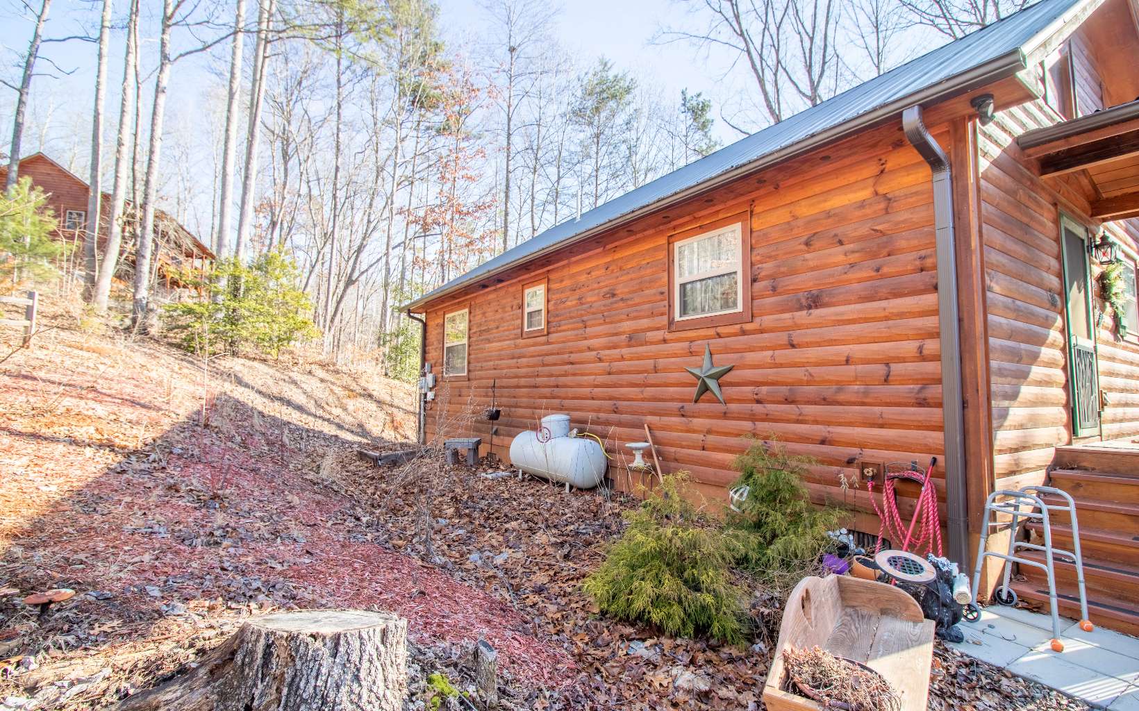 45 Rustic Rdg Road Murphy, NC 28906 - Photo 5 of 34 Additional View