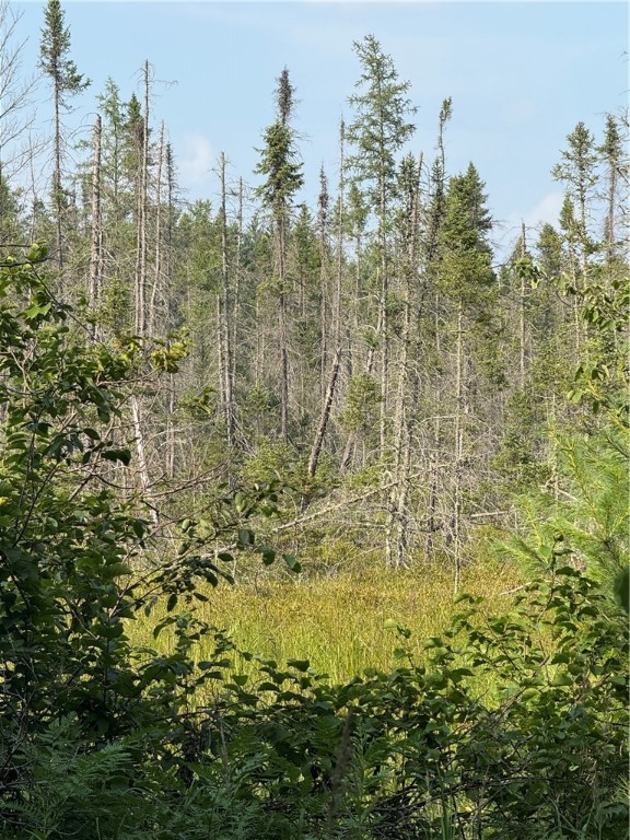 0 Tagalder Trail Hayward, WI 54843 - Photo 11 of 23