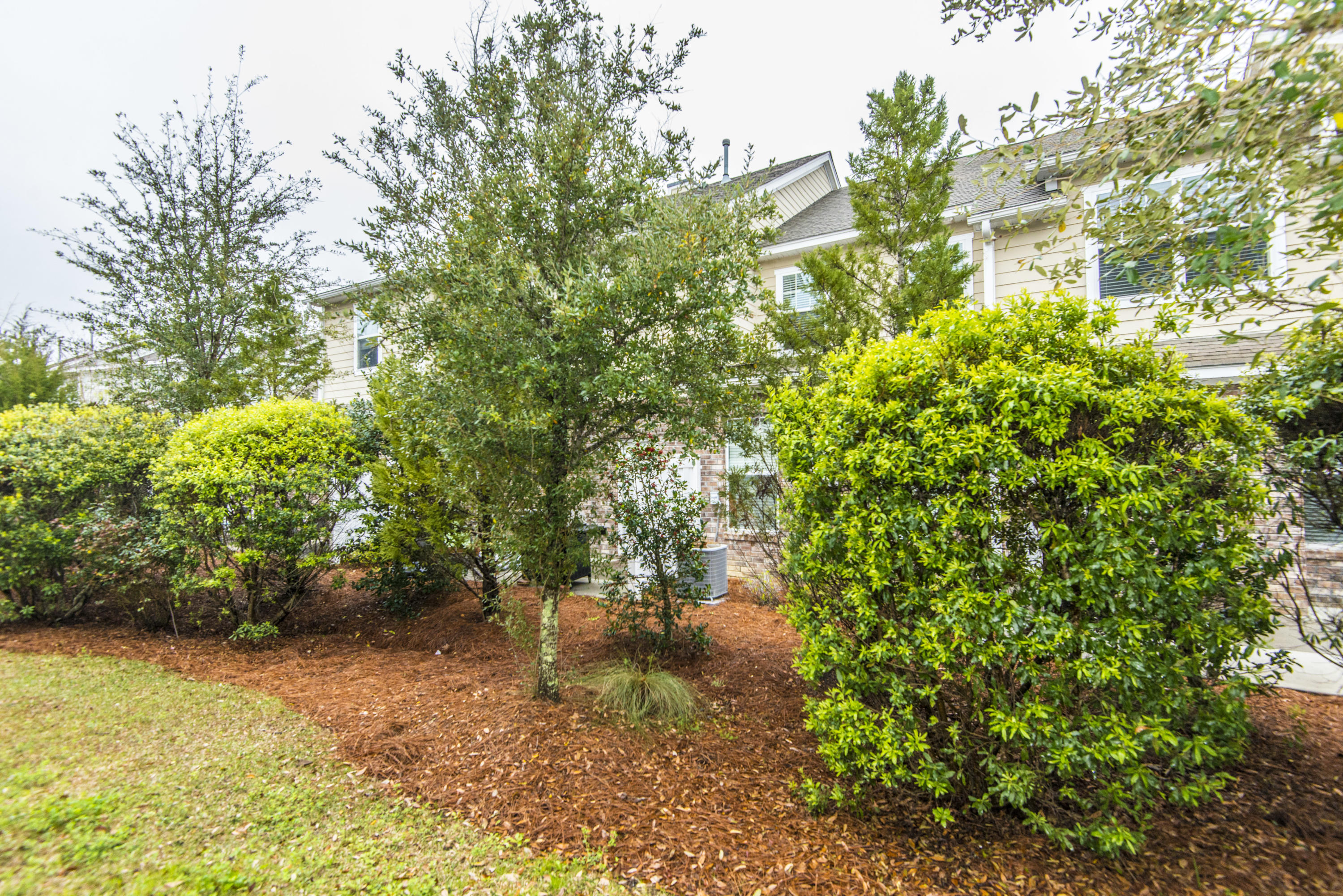 4036 Conant Road Mount Pleasant, SC 29466 - Photo 21 of 34 Private back yard space