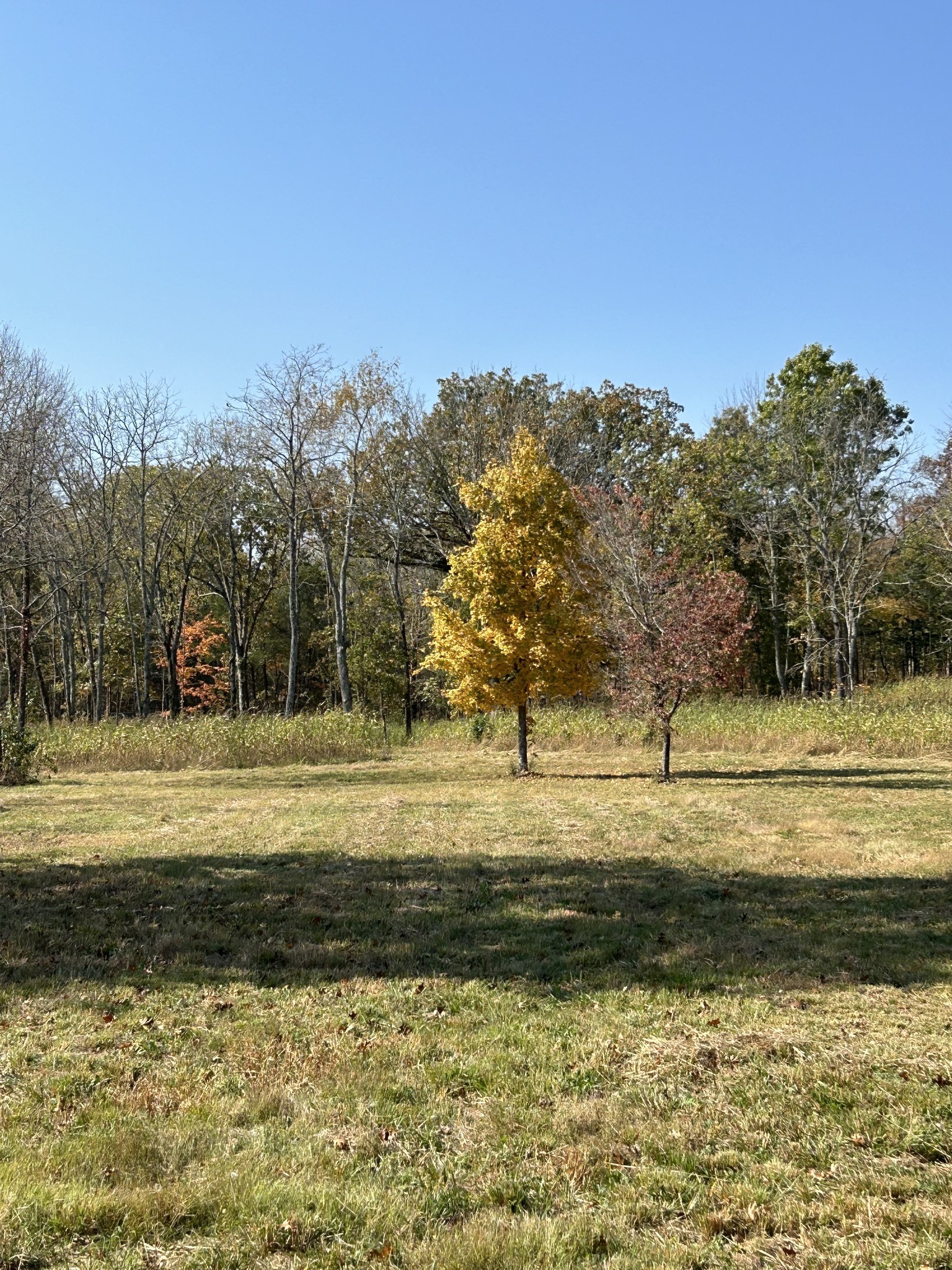 0 Africa Road Lebanon, TN 37087 - Photo 1 of 14 Gallery Image 1