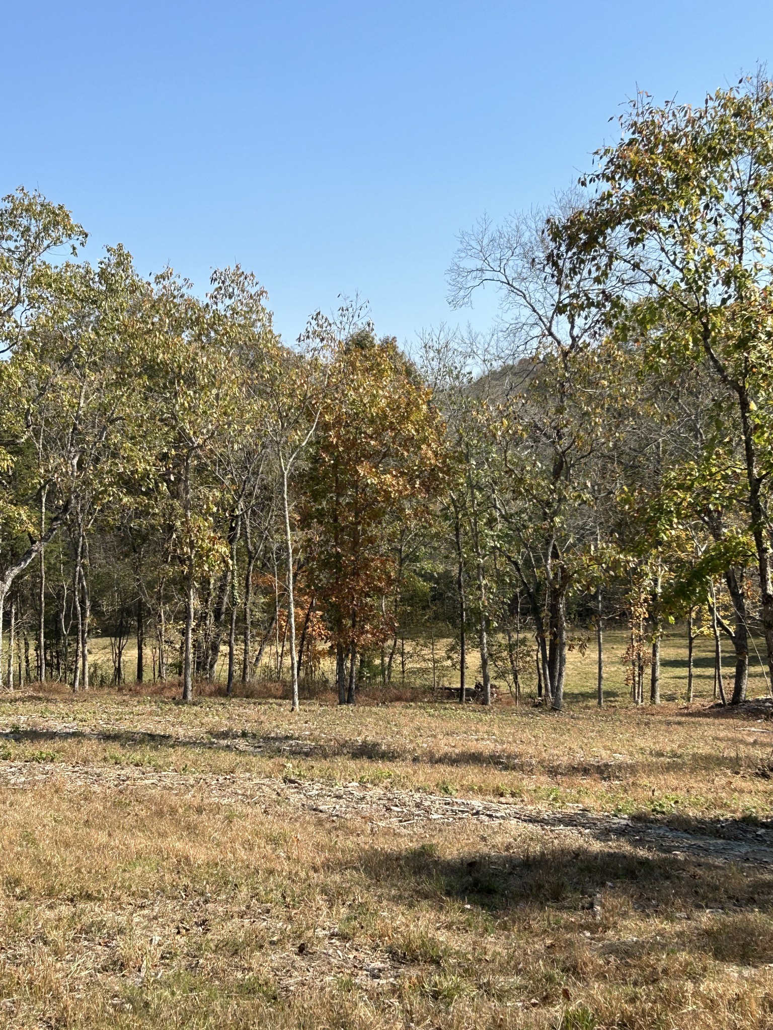 0 Africa Road Lebanon, TN 37087 - Photo 11 of 14 Gallery Image 11