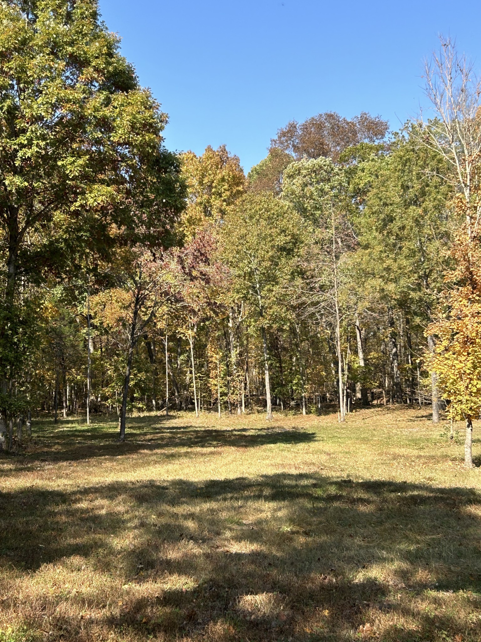 0 Africa Road Lebanon, TN 37087 - Photo 13 of 14 Gallery Image 13