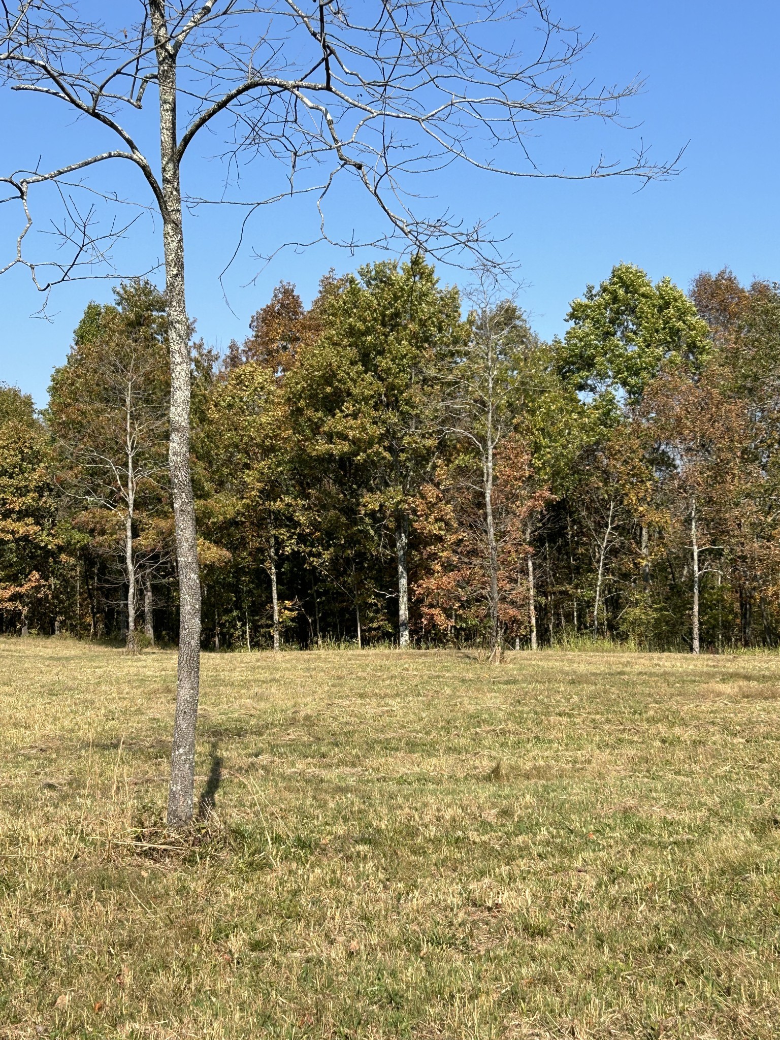 0 Africa Road Lebanon, TN 37087 - Photo 5 of 14 Gallery Image 5
