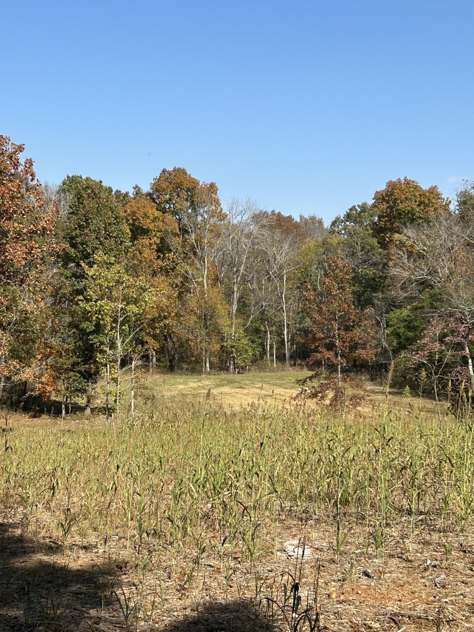 0 Africa Road Lebanon, TN 37087 - Photo 6 of 14 Gallery Image 6