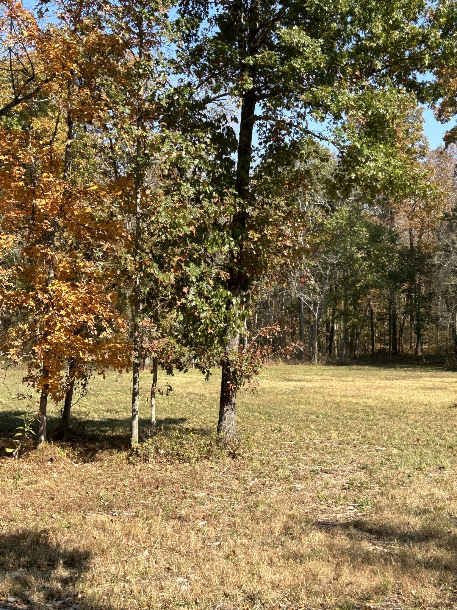 0 Africa Road Lebanon, TN 37087 - Photo 8 of 14 Gallery Image 8