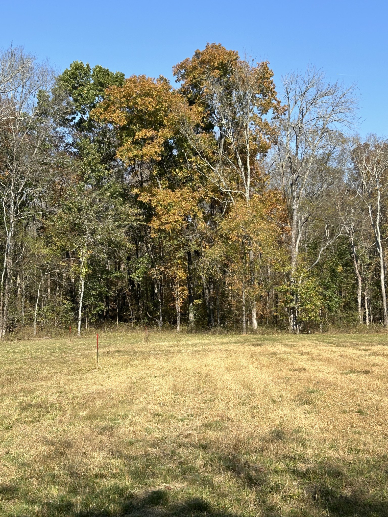 0 Africa Road Lebanon, TN 37087 - Photo 9 of 14 Gallery Image 9