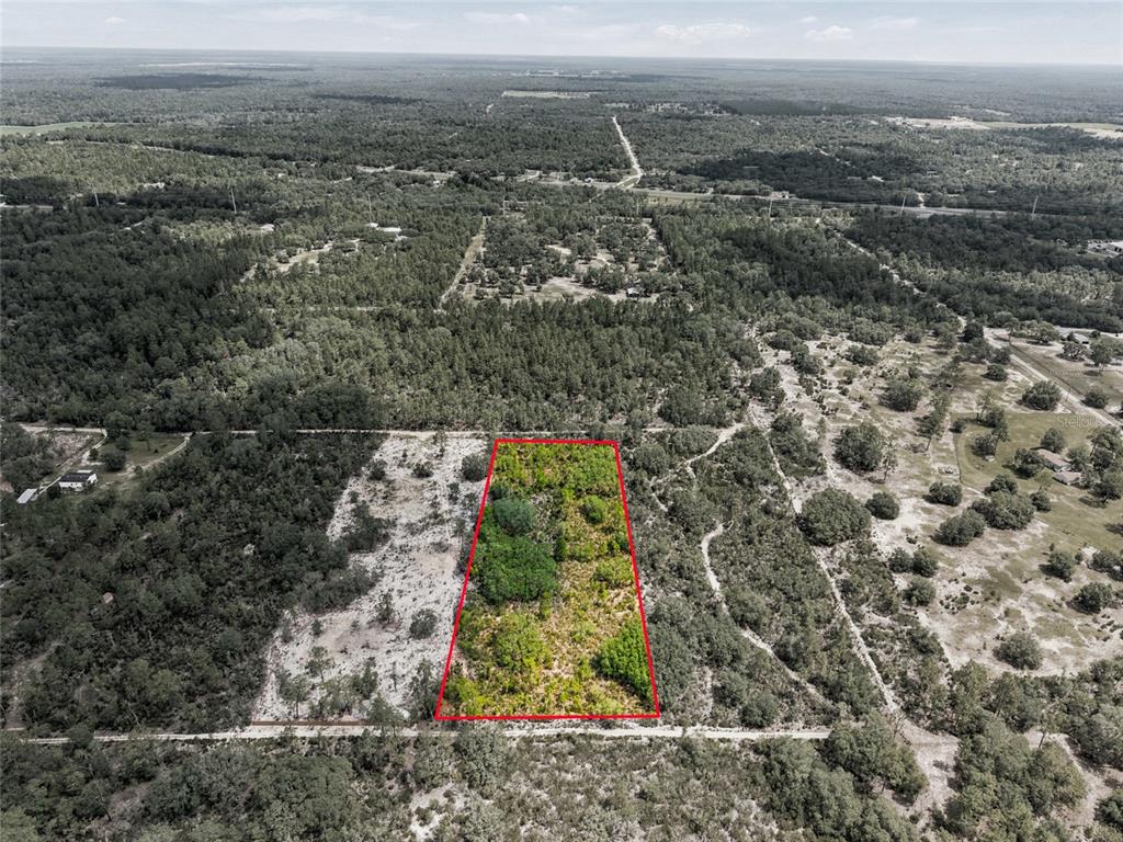 0 Northeast 56th Street Bronson, FL 32621 - Photo 12 of 20