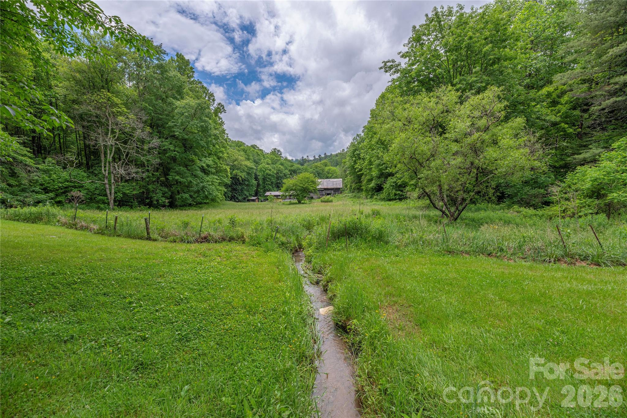 262 Gibson Branch Road Clyde, NC 28721 - Photo 3 of 28